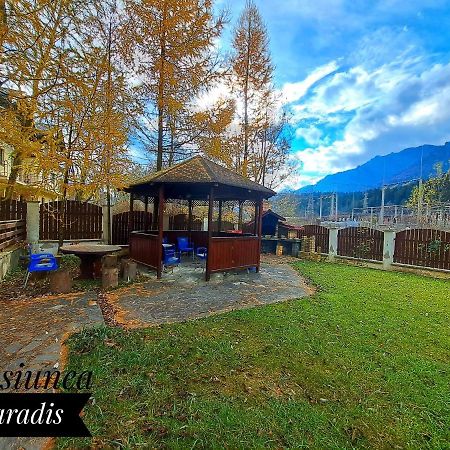 Pensiunea Paradis Buşteni Exterior foto
