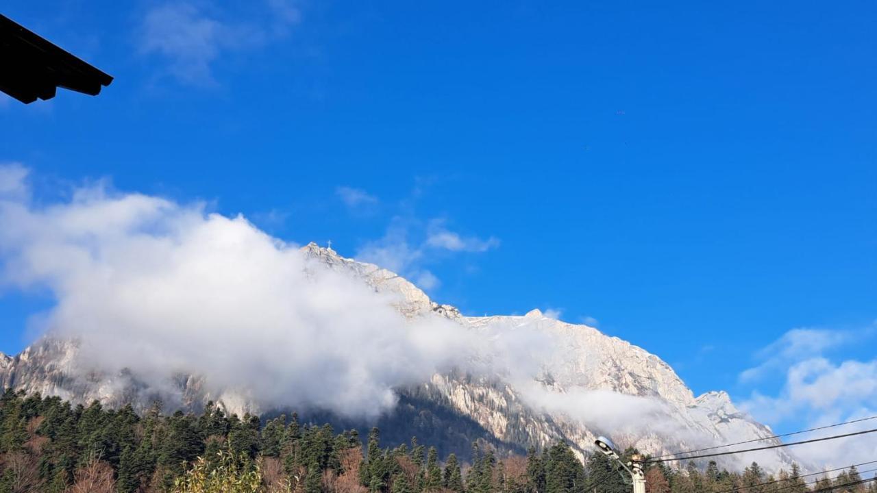 Pensiunea Paradis Buşteni Exterior foto